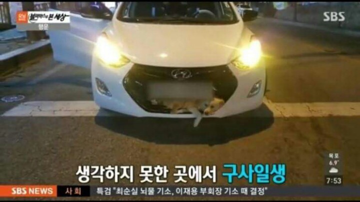 구사일생.jpg | 인스티즈