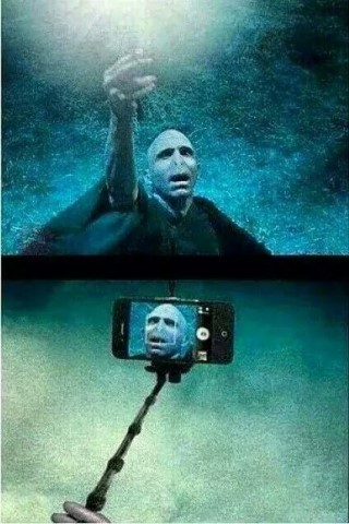 <해리포터>복잡하고도 미묘한 지팡이학 그리고 딱총나무지팡이 | 인스티즈