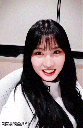 모모 브이 라이브 | 인스티즈