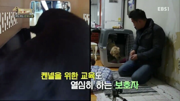 [세나개] 강형욱 훈련사의 팬인 봄이의 보호자들.jpg | 인스티즈