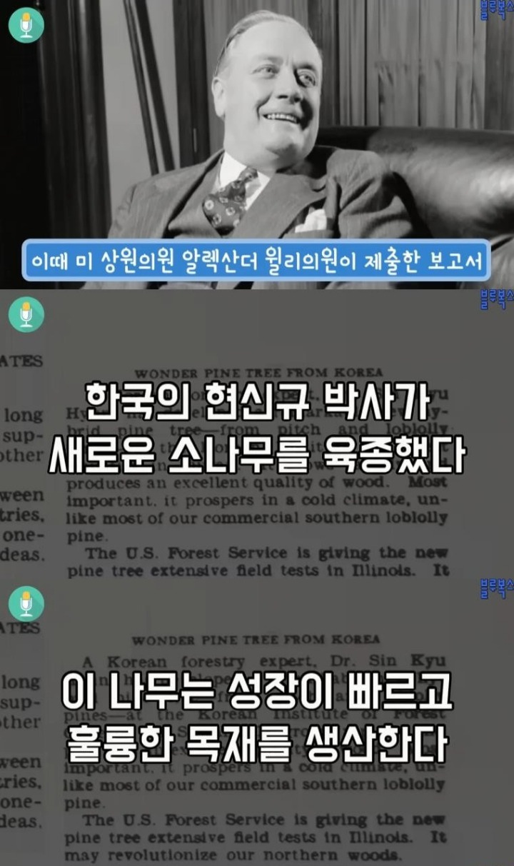 대한민국 산림에 나무가 있는 이유 | 인스티즈