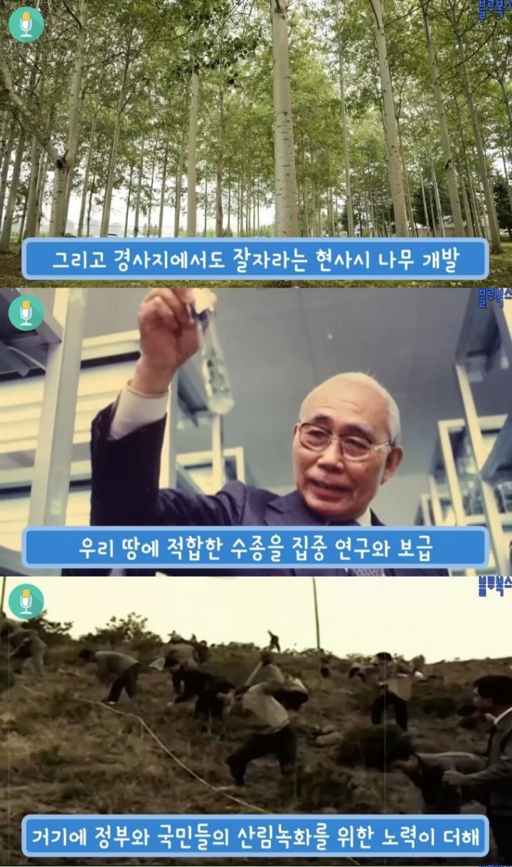 대한민국 산림에 나무가 있는 이유 | 인스티즈