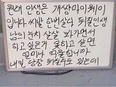 INTP 인간의 짤털 | 인스티즈