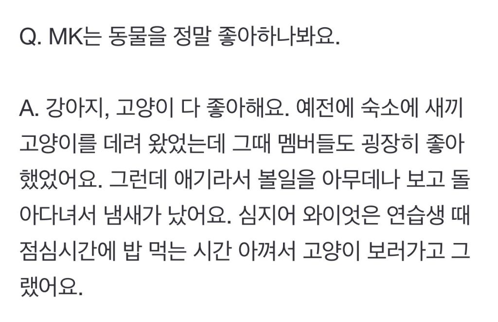 약 5년 전 아깽이들 구조하다 만난 아이돌과 작사가의 인연 | 인스티즈