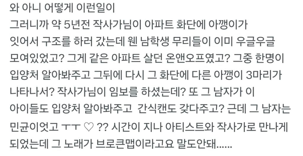 약 5년 전 아깽이들 구조하다 만난 아이돌과 작사가의 인연 | 인스티즈