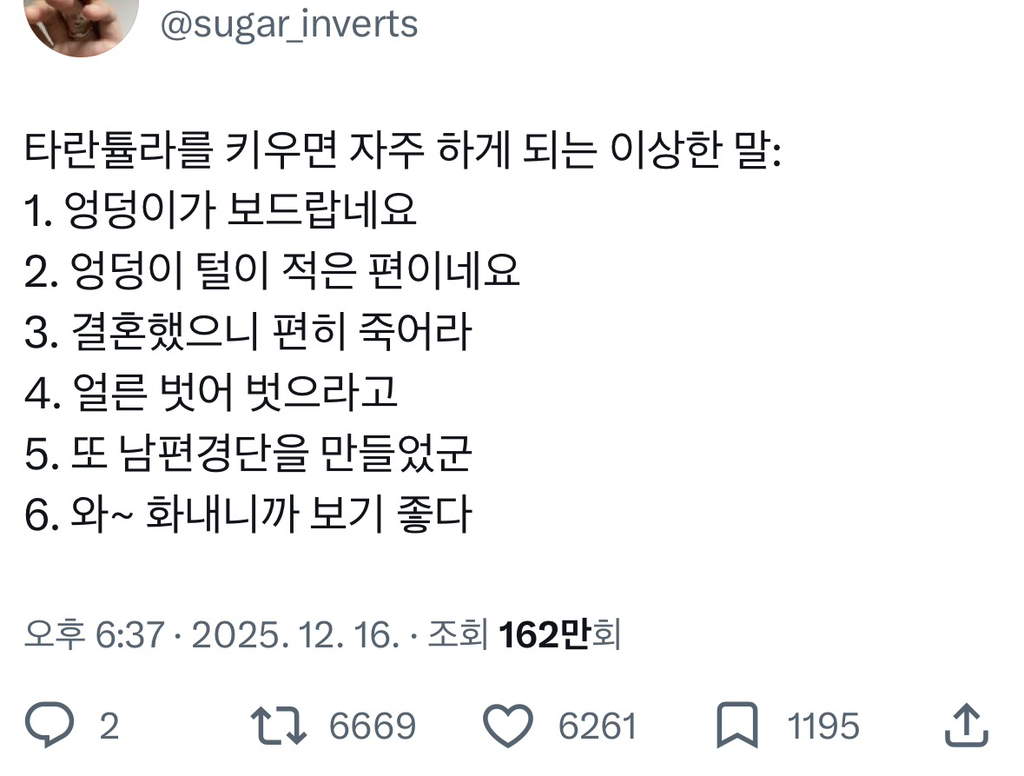 타란튤라를 키우면 자주하게 되는 이상한 말 | 인스티즈