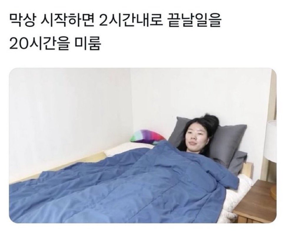 INTP 인간의 짤털 | 인스티즈