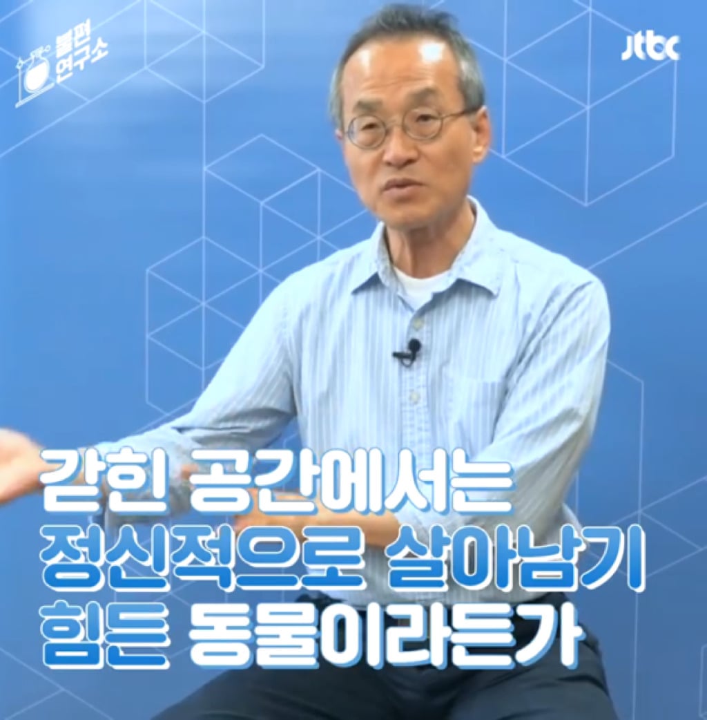 돌고래를 전시하는 수족관에 절대 가지 마세요 | 인스티즈