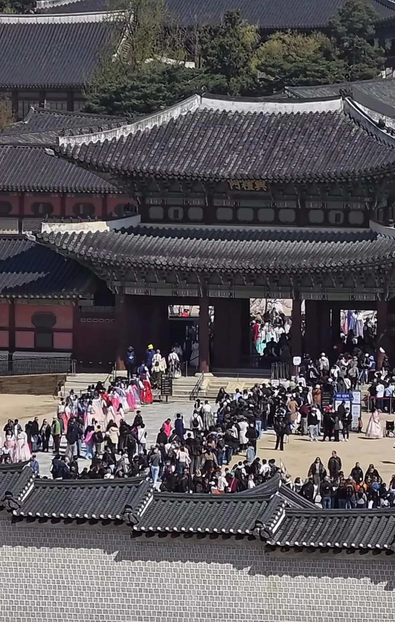 경복궁, 대기줄이 아무리 길어도 한복 입으면 프리패스 | 인스티즈