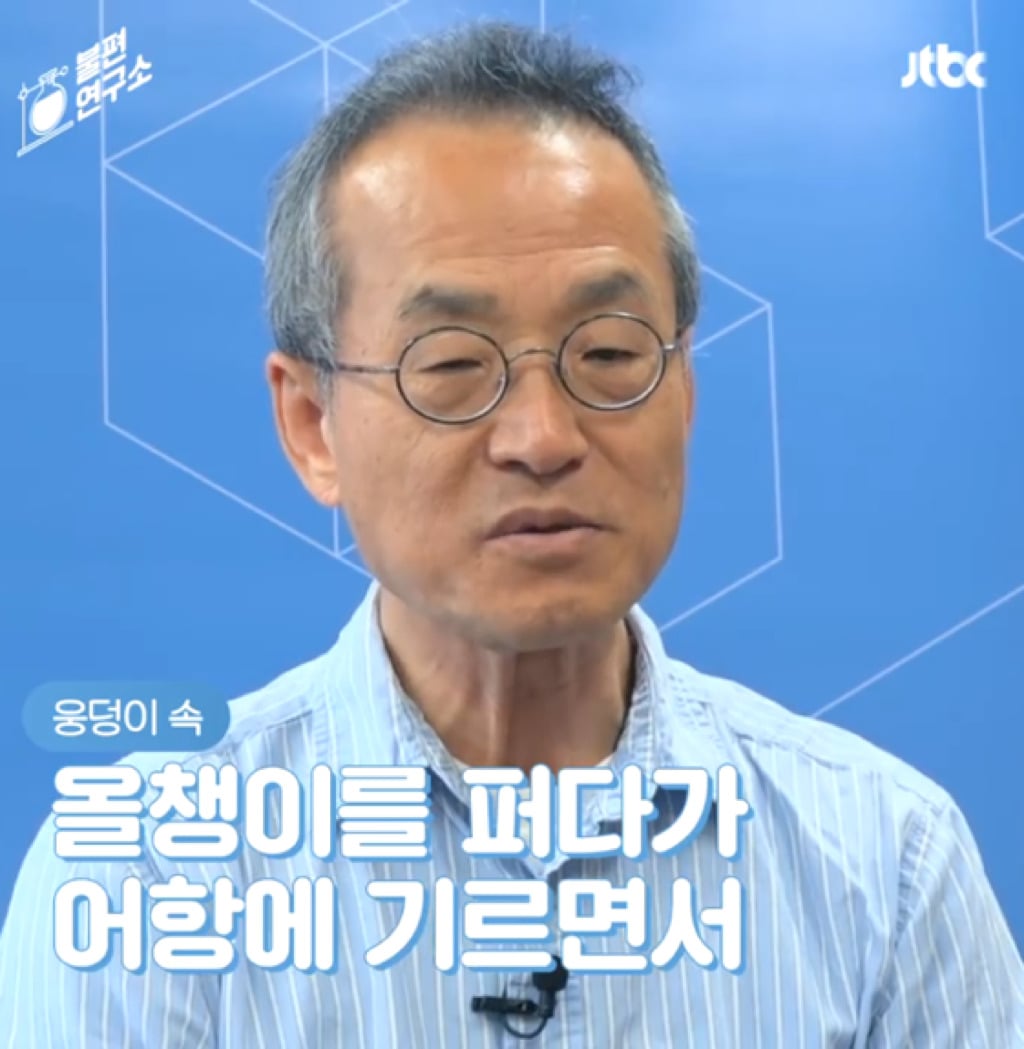 돌고래를 전시하는 수족관에 절대 가지 마세요 | 인스티즈
