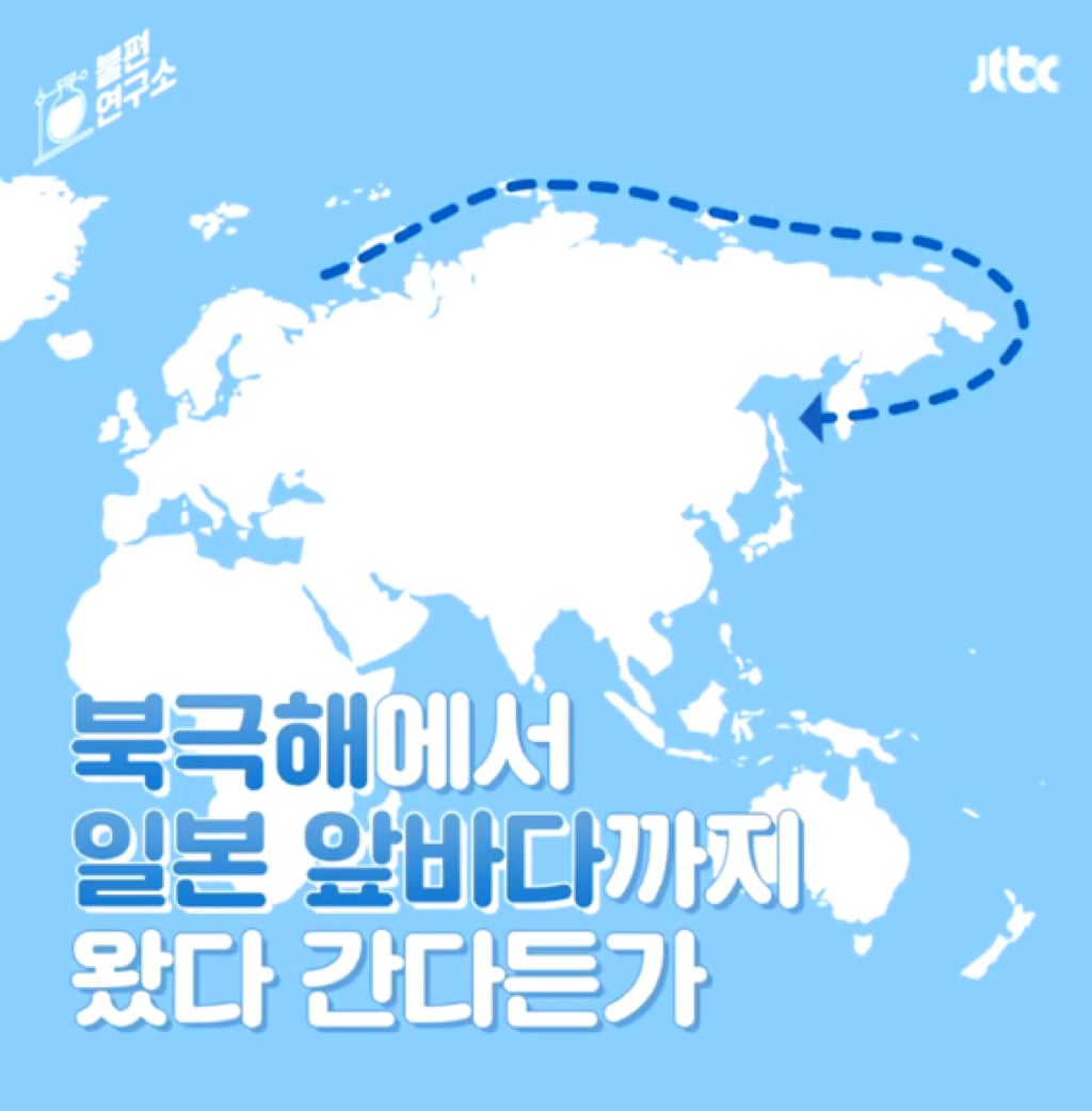 돌고래를 전시하는 수족관에 절대 가지 마세요 | 인스티즈