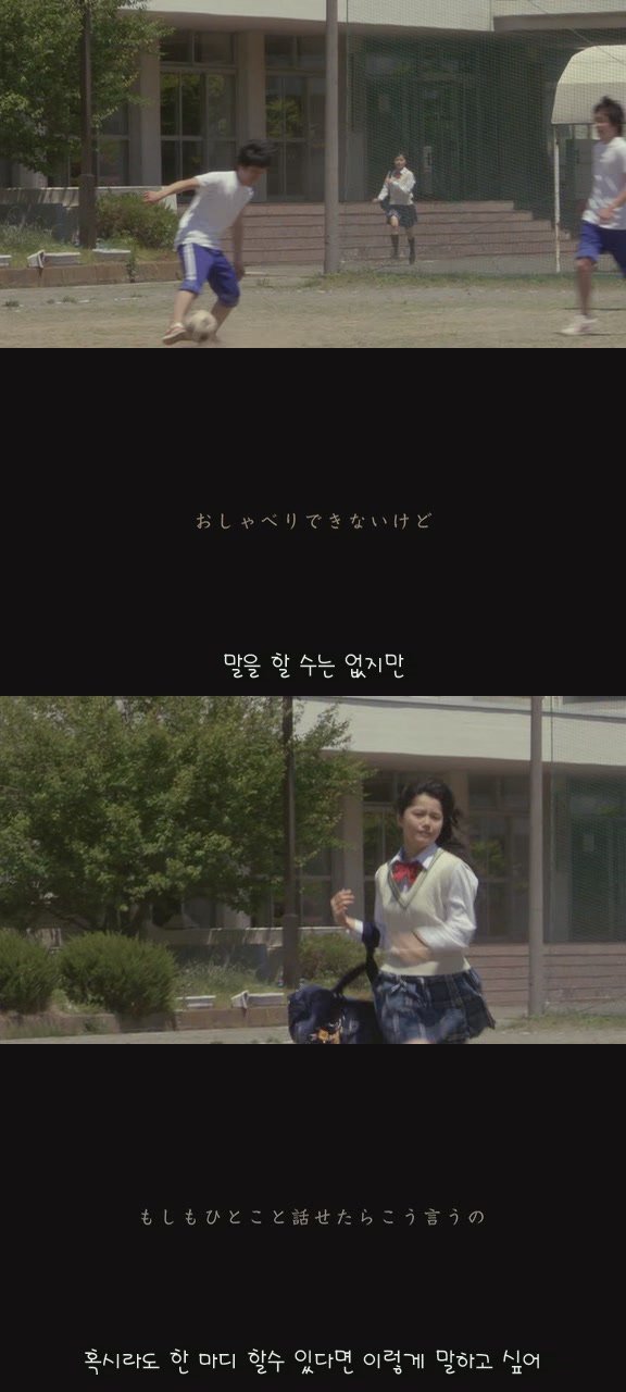 있잖아 마리모, 나 다시 개를 기르고 싶어 (마리모이야기) | 인스티즈