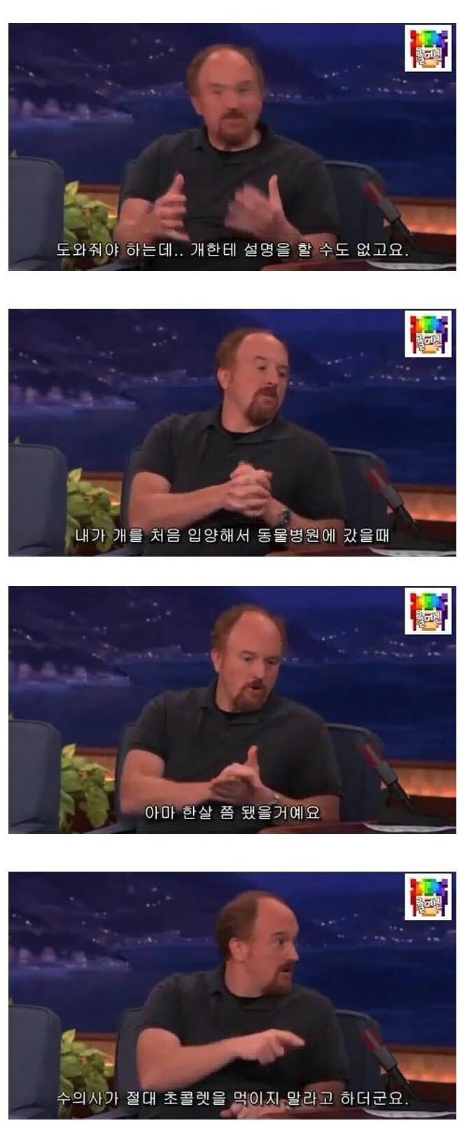 자기가 키우는 개랑 빠르게 절교하는 방법 | 인스티즈