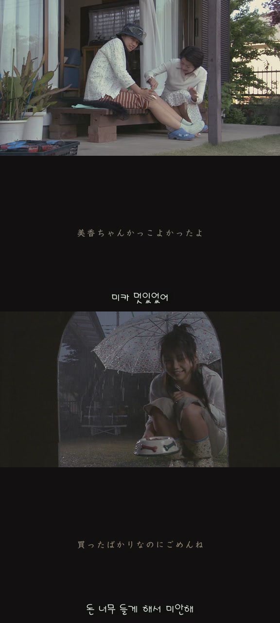 있잖아 마리모, 나 다시 개를 기르고 싶어 (마리모이야기) | 인스티즈