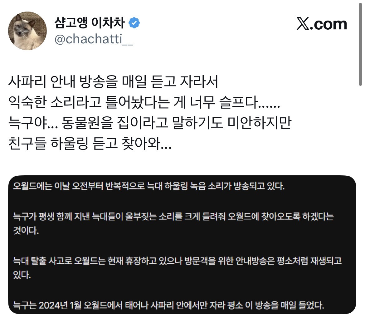 사파리 안내 방송을 매일 듣고 자라서 익숙한 소리라는 늑구 | 인스티즈