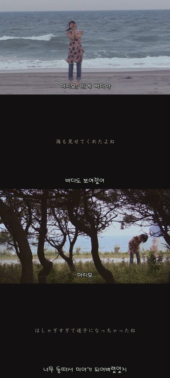 있잖아 마리모, 나 다시 개를 기르고 싶어 (마리모이야기) | 인스티즈