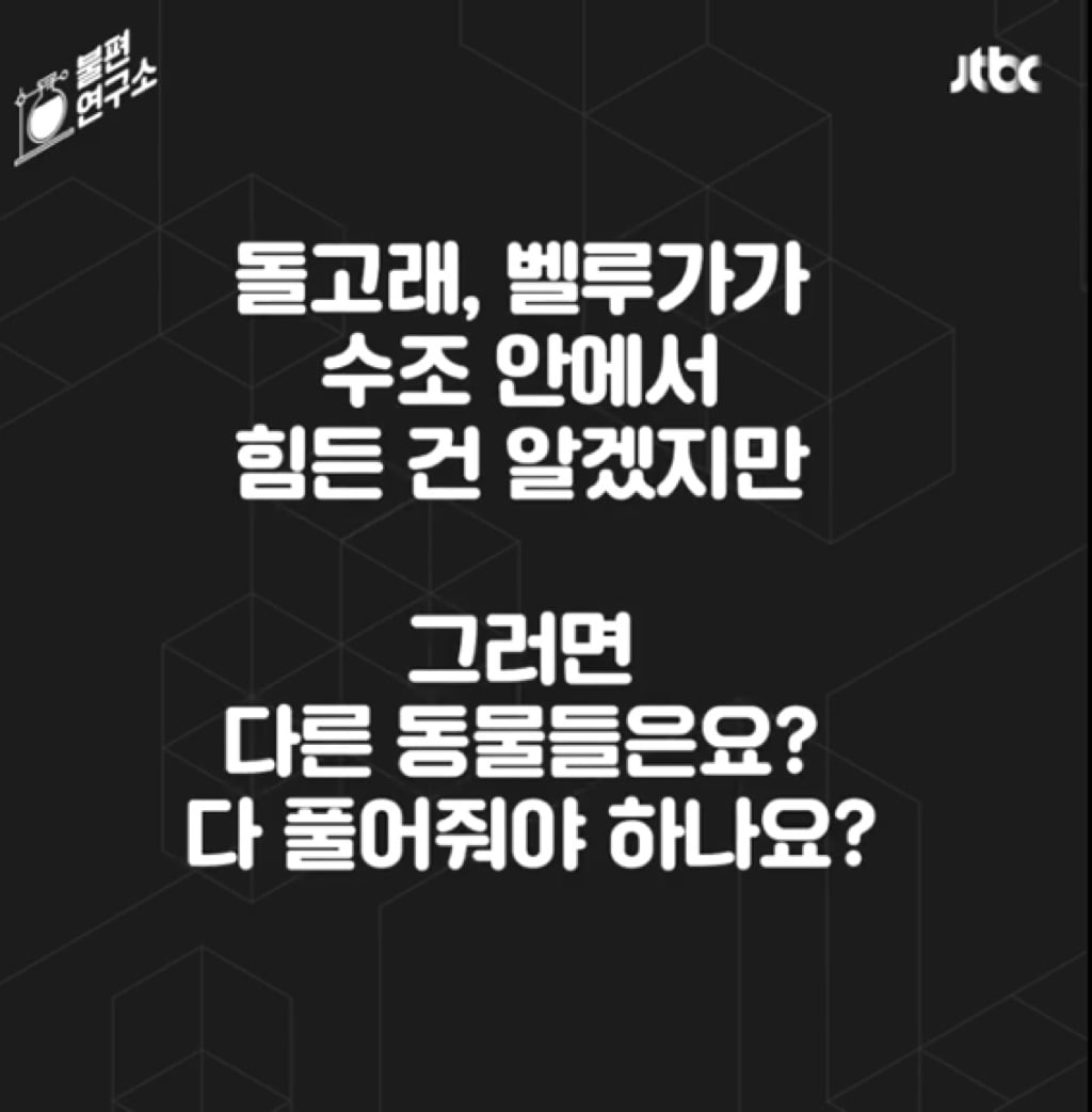 돌고래를 전시하는 수족관에 절대 가지 마세요 | 인스티즈
