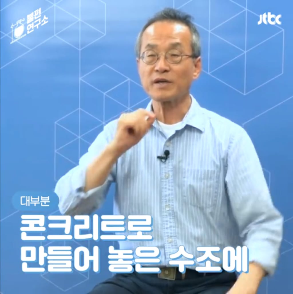 돌고래를 전시하는 수족관에 절대 가지 마세요 | 인스티즈