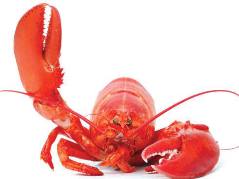 징그러워서 죄수들이나 먹던 음식 | 인스티즈