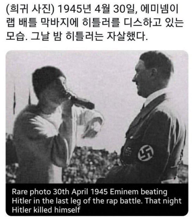 사람들이 잘 모르는 히틀러 사망 이유 | 인스티즈