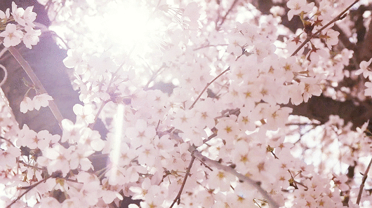 살맞대고 지내다가 연애감정 느끼게 되는 남자 고르기 | 인스티즈