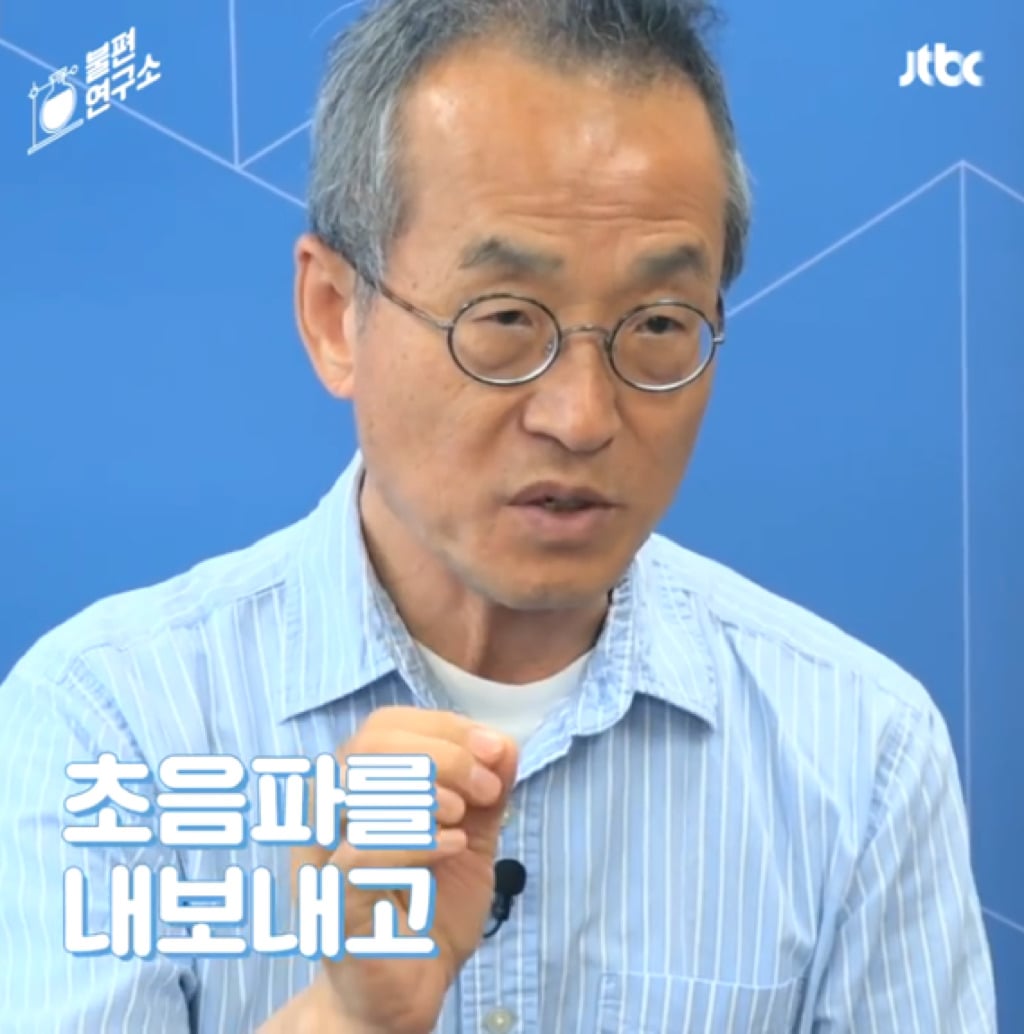 돌고래를 전시하는 수족관에 절대 가지 마세요 | 인스티즈