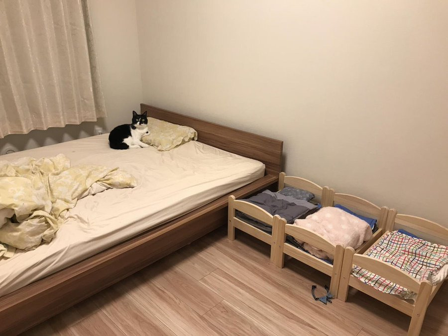 어휴 뭘 이런걸 다 사왔어 | 인스티즈