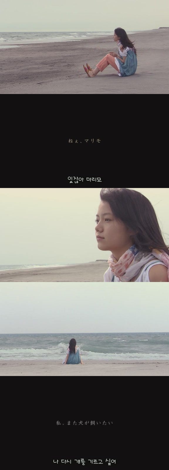 있잖아 마리모, 나 다시 개를 기르고 싶어 (마리모이야기) | 인스티즈