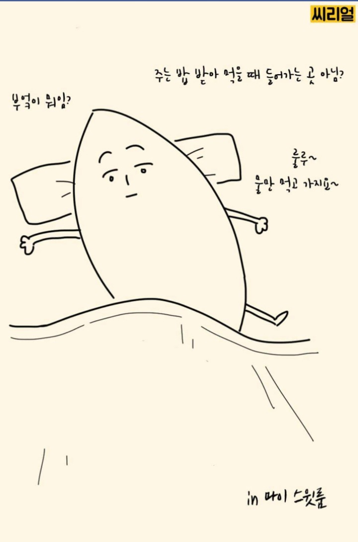 명절마다 딸들이 겪는 딜레마.jpg | 인스티즈