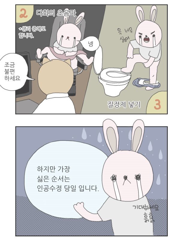 인공수정 하는 절차 | 인스티즈