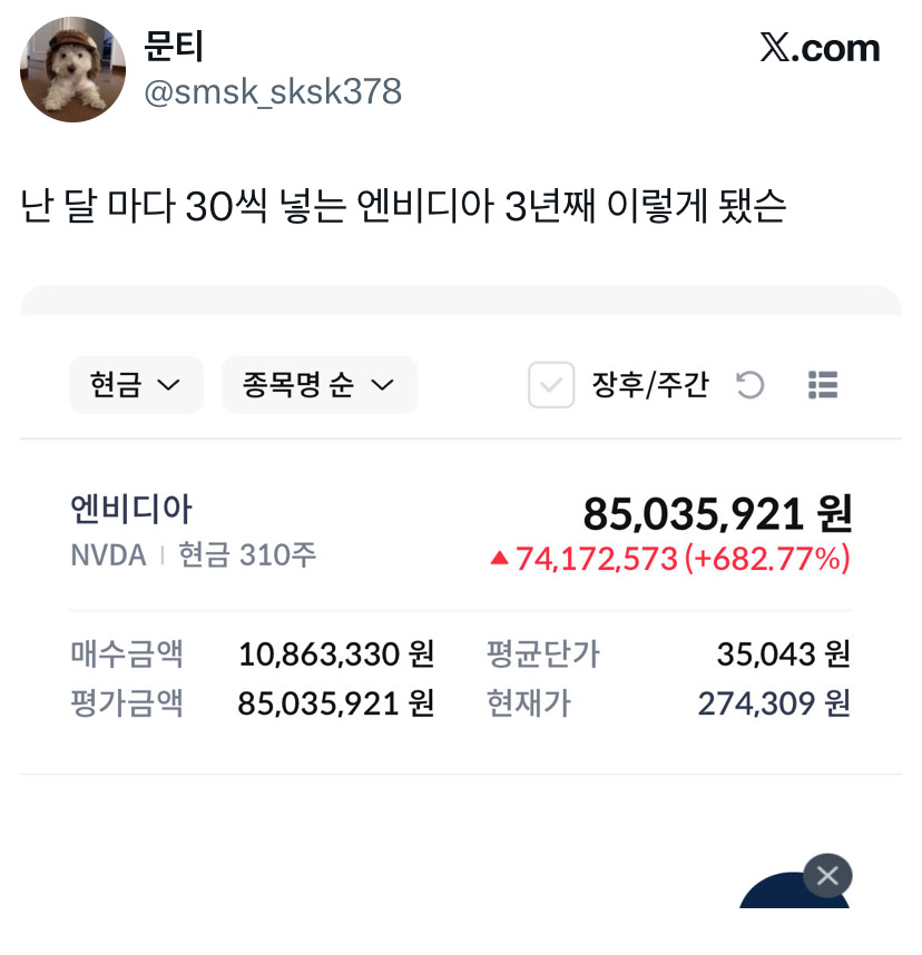 엔비디아에 3년 동안 월 30만원씩 투자한 결과 .X | 인스티즈