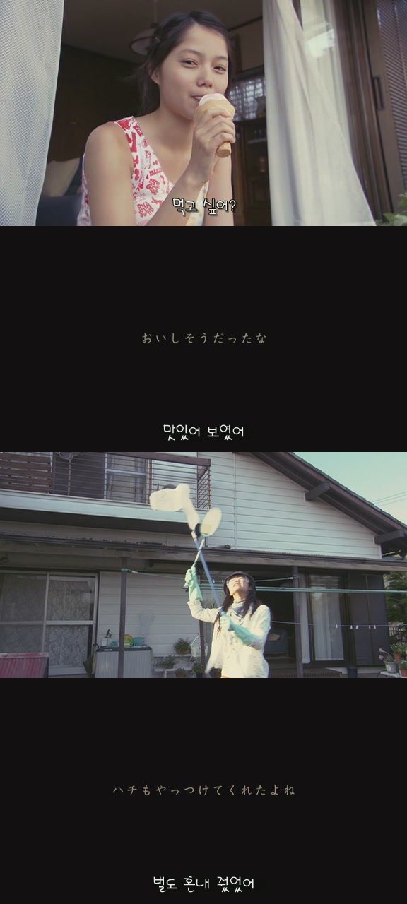 있잖아 마리모, 나 다시 개를 기르고 싶어 (마리모이야기) | 인스티즈