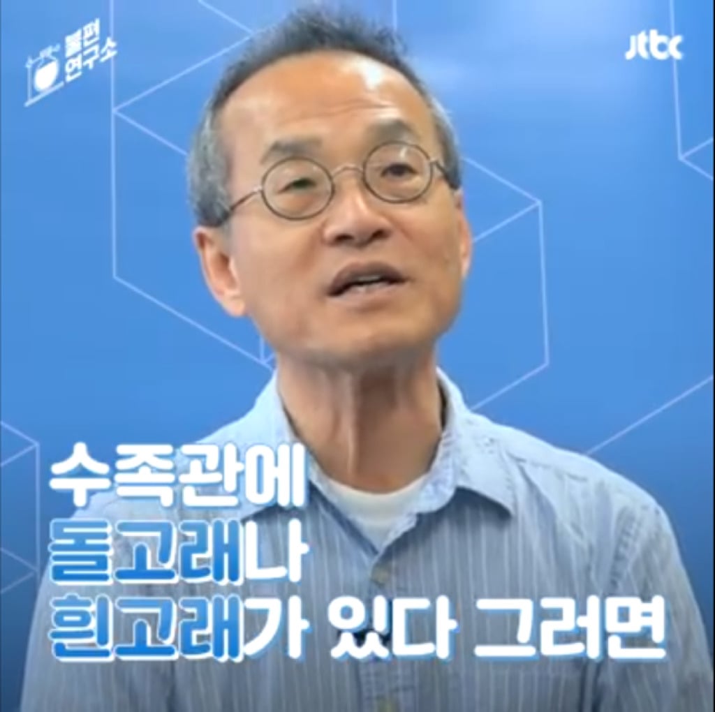 돌고래를 전시하는 수족관에 절대 가지 마세요 | 인스티즈