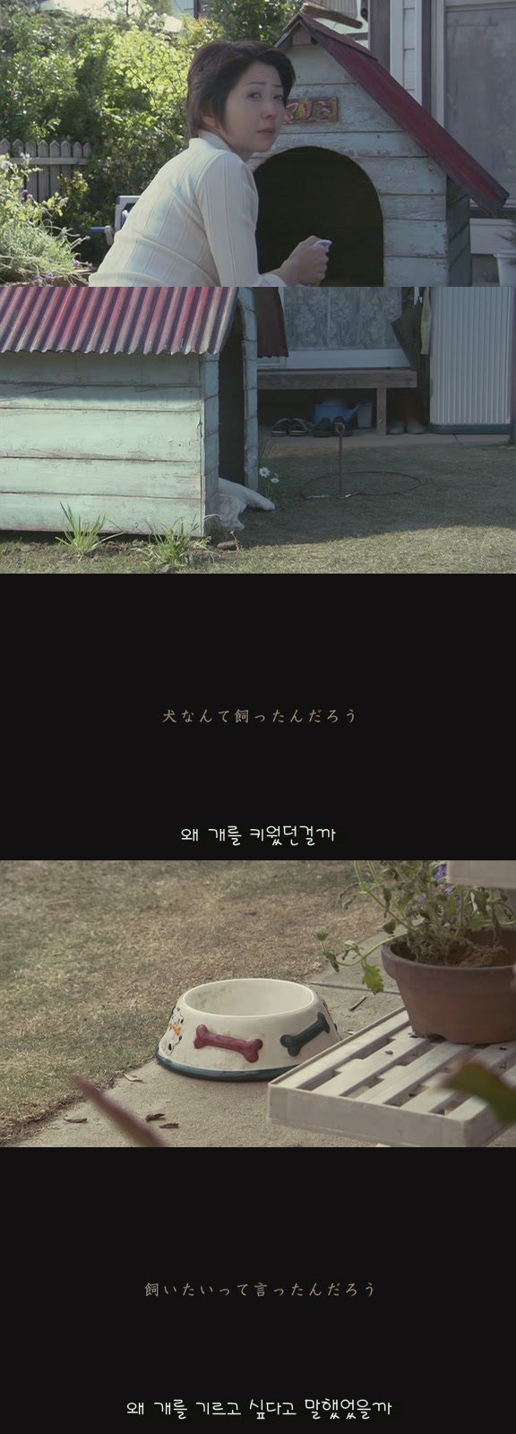 있잖아 마리모, 나 다시 개를 기르고 싶어 (마리모이야기) | 인스티즈