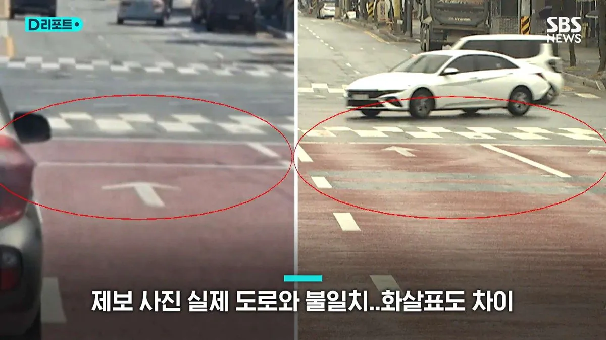 알고보니 모두 ai 조작짤이었던 늑대 목격사진 | 인스티즈