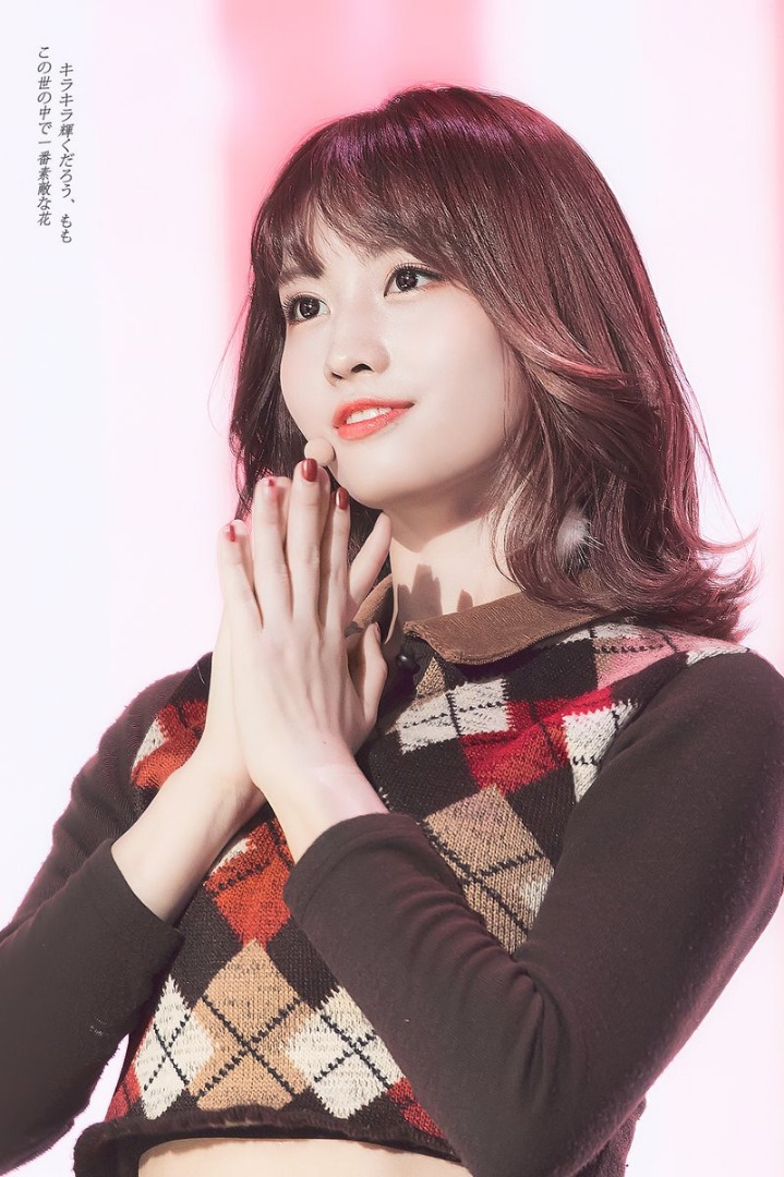 트와이스 모모 사진 50장 | 인스티즈