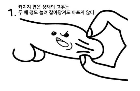 여자들은 모르는 남자 꼬추의 비밀 | 인스티즈