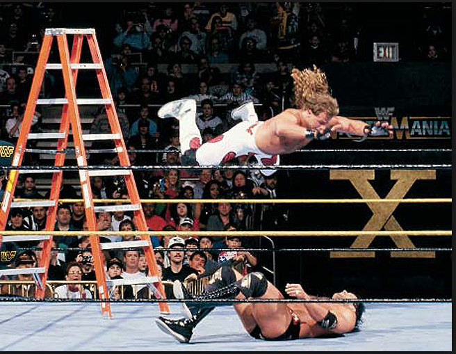 숀 마이클스의 역대 레슬매니아 전적.jpg | 인스티즈