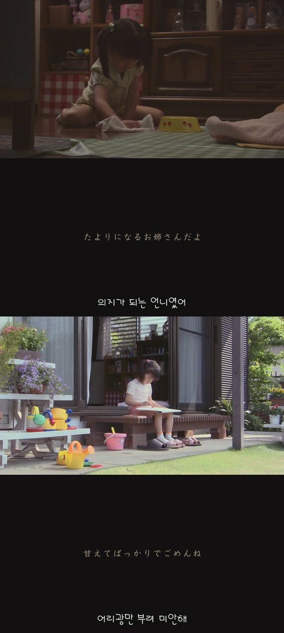 있잖아 마리모, 나 다시 개를 기르고 싶어 (마리모이야기) | 인스티즈