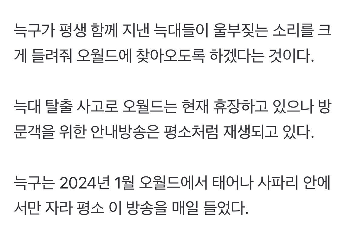 사파리 안내 방송을 매일 듣고 자라서 익숙한 소리라는 늑구 | 인스티즈
