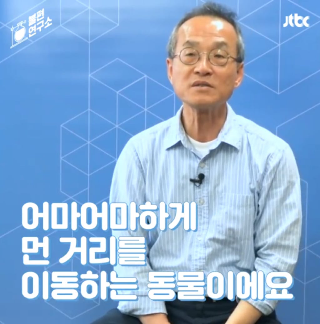 돌고래를 전시하는 수족관에 절대 가지 마세요 | 인스티즈