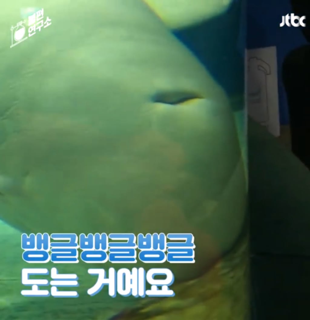 돌고래를 전시하는 수족관에 절대 가지 마세요 | 인스티즈