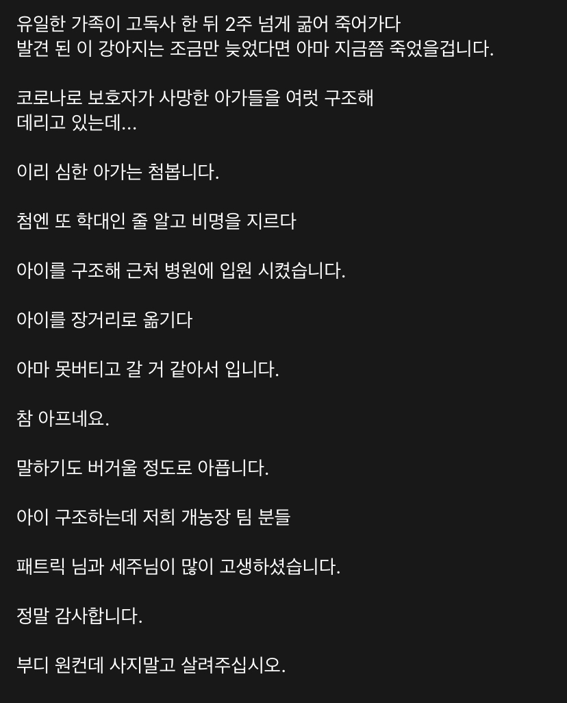 고독사한 주인품에서 발견된 강아지 | 인스티즈