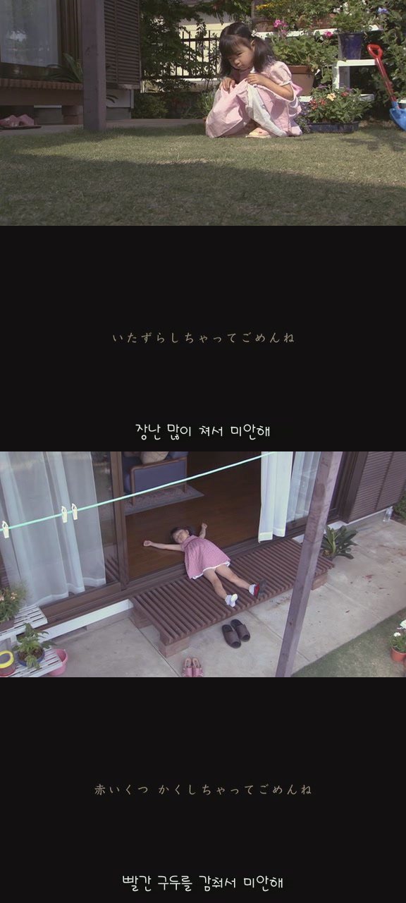 있잖아 마리모, 나 다시 개를 기르고 싶어 (마리모이야기) | 인스티즈