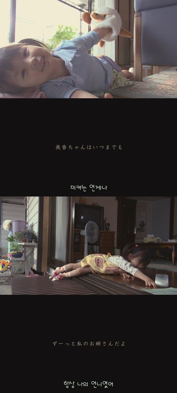 있잖아 마리모, 나 다시 개를 기르고 싶어 (마리모이야기) | 인스티즈