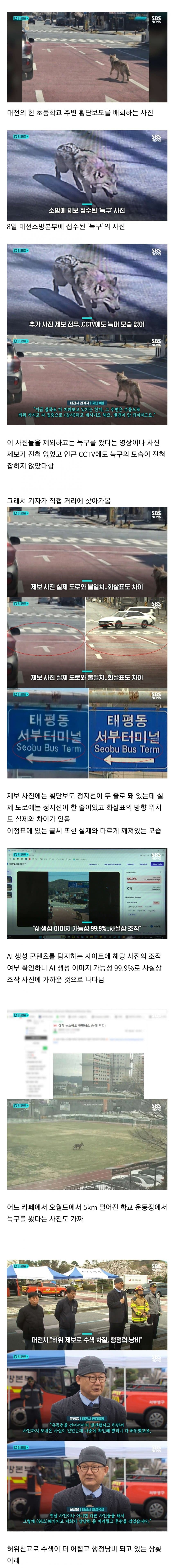 늑구 목격 사진들 ai 생성 이미지였다고함 | 인스티즈