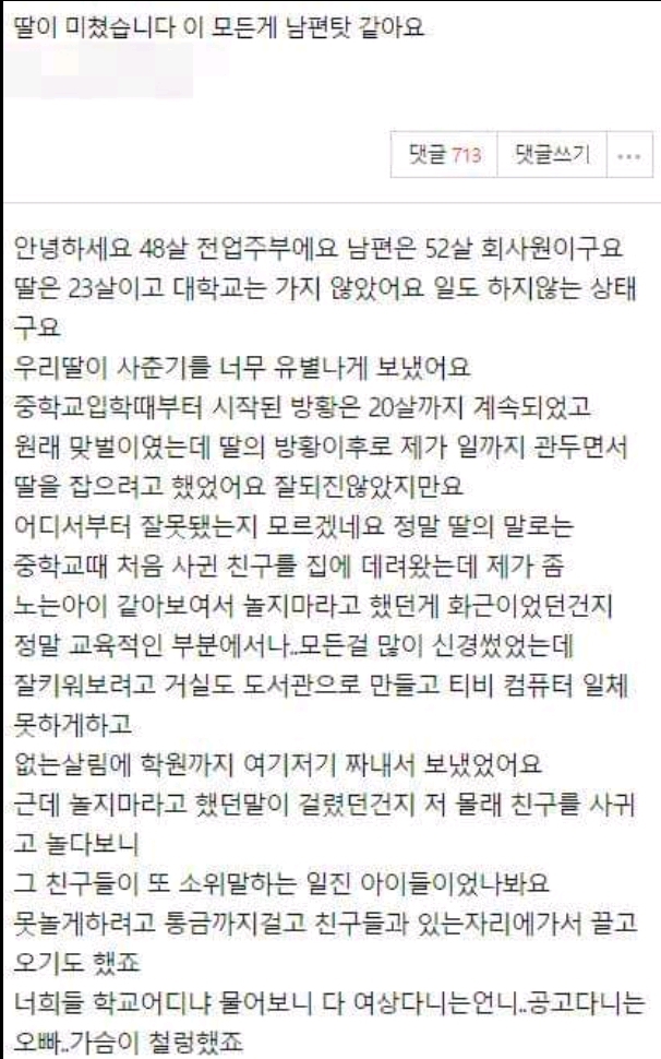 딸이 미쳤습니다 이 모든게 남편탓 같아요 | 인스티즈
