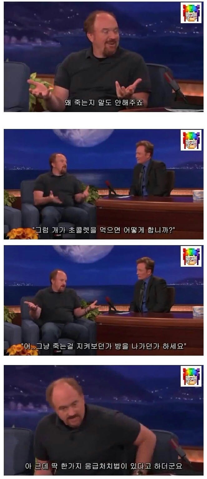 자기가 키우는 개랑 빠르게 절교하는 방법 | 인스티즈