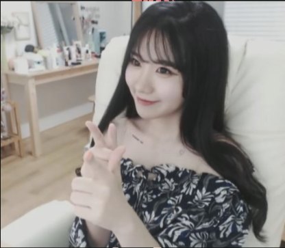 트위치 여스트리머 미모 원탑은? | 인스티즈