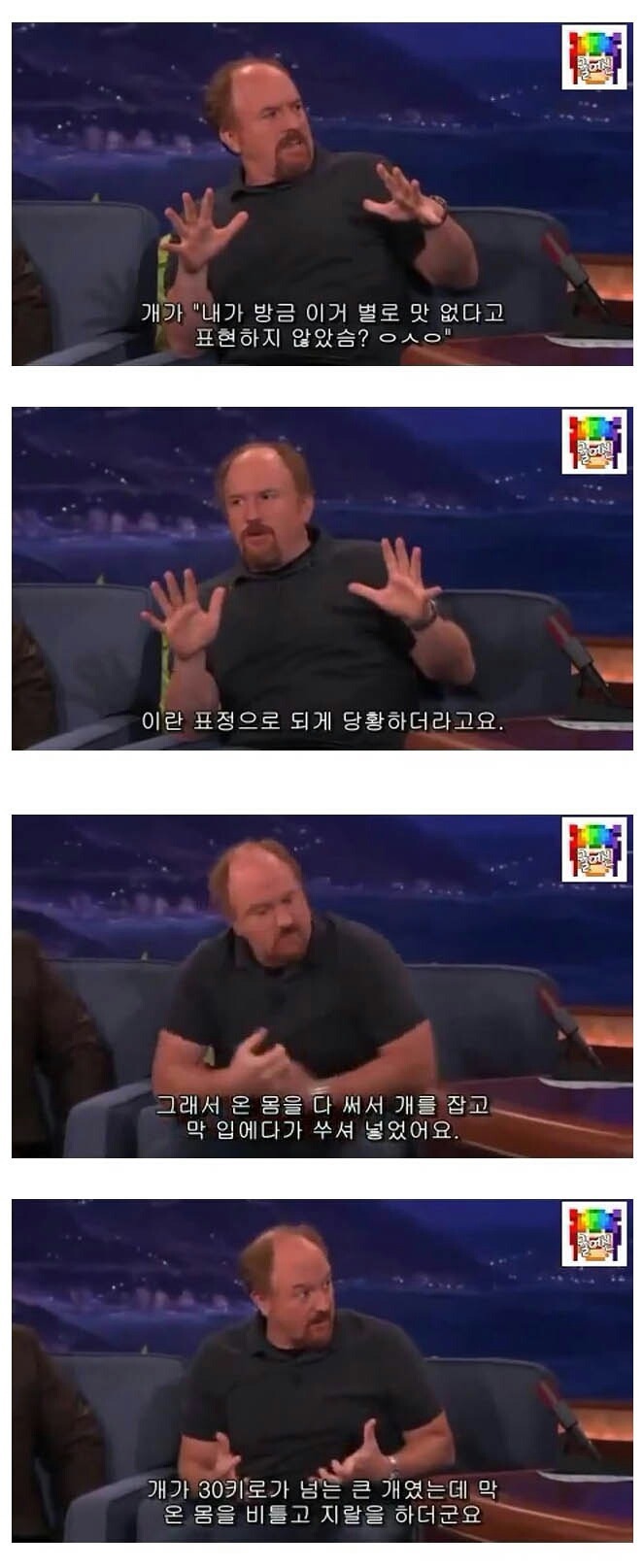 자기가 키우는 개랑 빠르게 절교하는 방법 | 인스티즈
